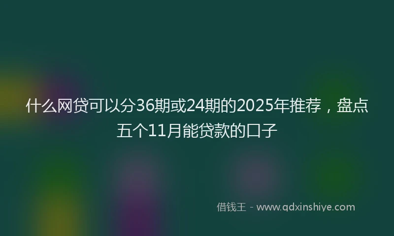 什么网贷可以分36期或24期的2025年推荐，盘点五个11月能贷款的口子