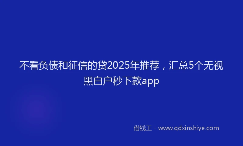 不看负债和征信的贷2025年推荐，汇总5个无视黑白户秒下款app
