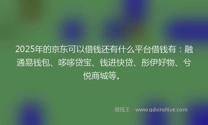 2025年的京东可以借钱还有什么平台借钱有：融通易钱包、哆哆贷宝、钱进快贷、彤伊好物、兮悦商城等。