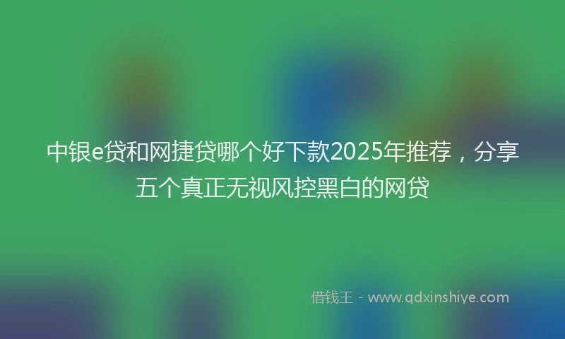 中银e贷和网捷贷哪个好下款2025年推荐，分享五个真正无视风控黑白的网贷