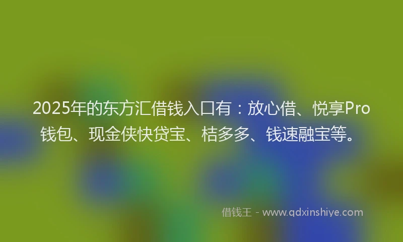 2025年的东方汇借钱入口有：放心借、悦享Pro钱包、现金侠快贷宝、桔多多、钱速融宝等。