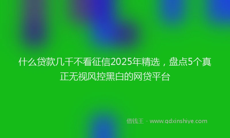什么贷款几千不看征信2025年精选，盘点5个真正无视风控黑白的网贷平台