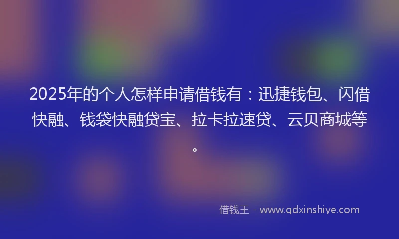 2025年的个人怎样申请借钱有：迅捷钱包、闪借快融、钱袋快融贷宝、拉卡拉速贷、云贝商城等。