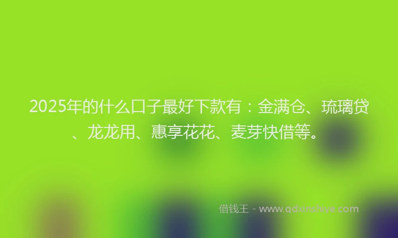 2025年的什么口子最好下款有：金满仓、琉璃贷、龙龙用、惠享花花、麦芽快借等。