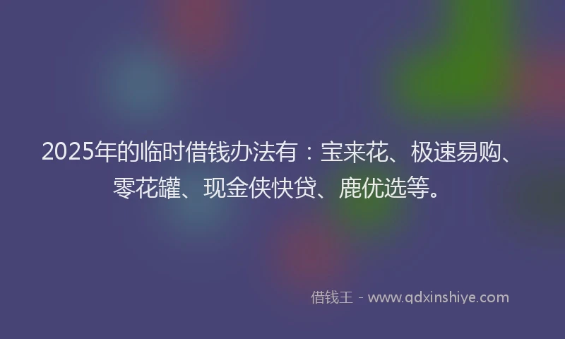 2025年的临时借钱办法有：宝来花、极速易购、零花罐、现金侠快贷、鹿优选等。