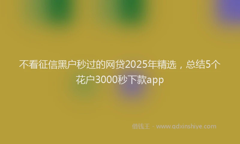 不看征信黑户秒过的网贷2025年精选，总结5个花户3000秒下款app