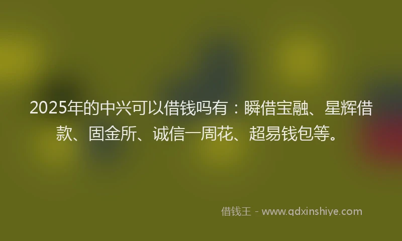 2025年的中兴可以借钱吗有：瞬借宝融、星辉借款、固金所、诚信一周花、超易钱包等。