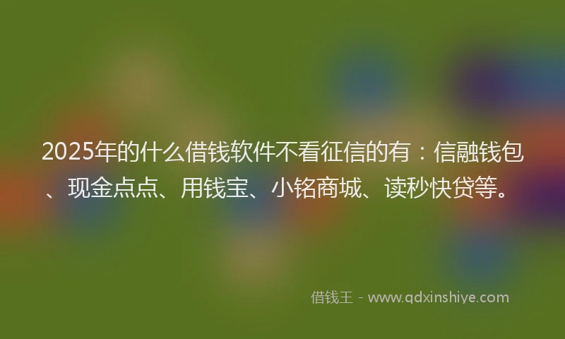 2025年的什么借钱软件不看征信的有：信融钱包、现金点点、用钱宝、小铭商城、读秒快贷等。