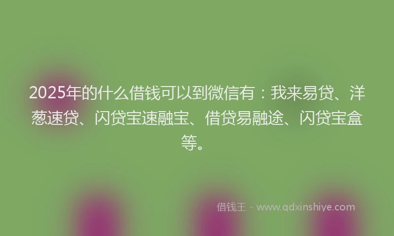 2025年的什么借钱可以到微信有：我来易贷、洋葱速贷、闪贷宝速融宝、借贷易融途、闪贷宝盒等。