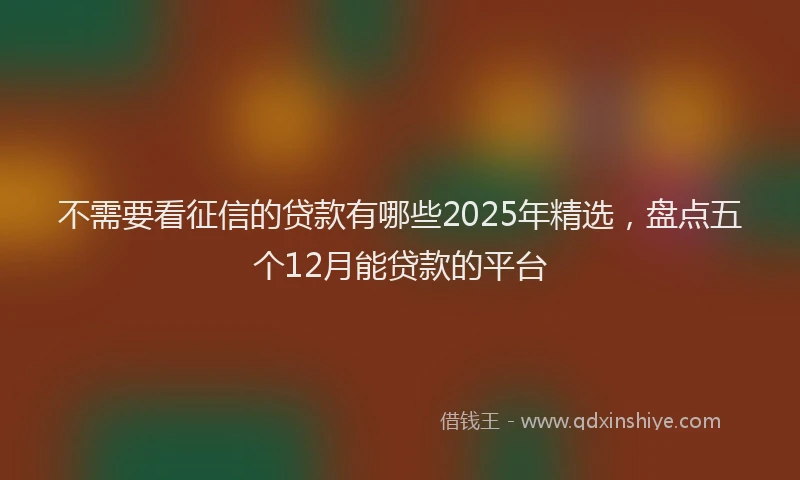 不需要看征信的贷款有哪些2025年精选，盘点五个12月能贷款的平台