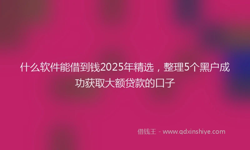 什么软件能借到钱2025年精选，整理5个黑户成功获取大额贷款的口子