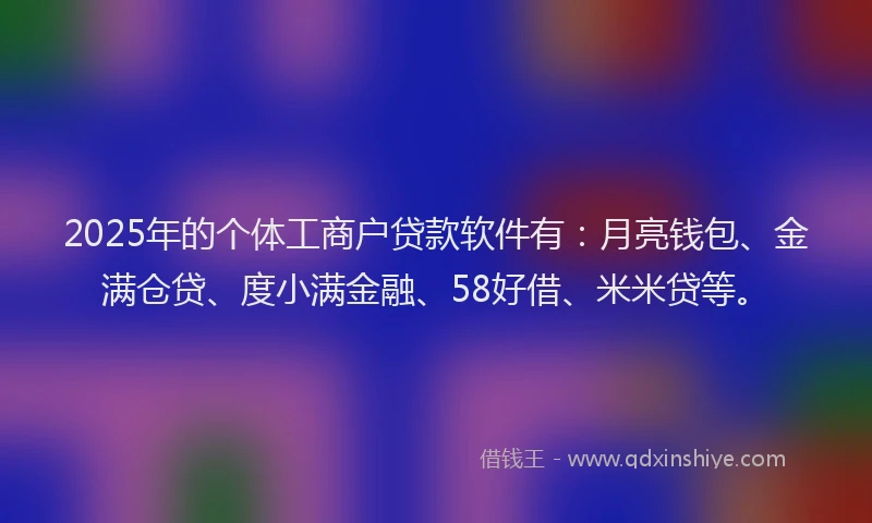2025年的个体工商户贷款软件有：月亮钱包、金满仓贷、度小满金融、58好借、米米贷等。