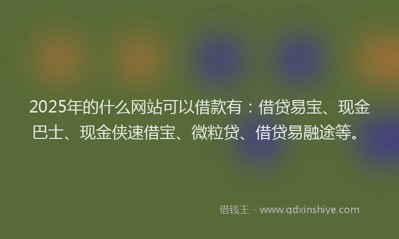 2025年的什么网站可以借款有：借贷易宝、现金巴士、现金侠速借宝、微粒贷、借贷易融途等。