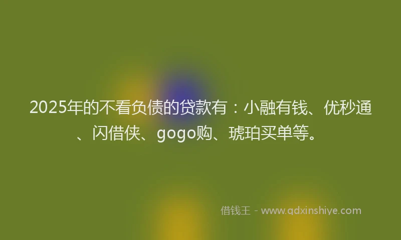 2025年的不看负债的贷款有：小融有钱、优秒通、闪借侠、gogo购、琥珀买单等。