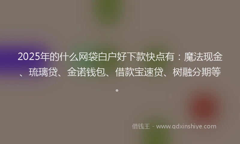 2025年的什么网袋白户好下款快点有：魔法现金、琉璃贷、金诺钱包、借款宝速贷、树融分期等。