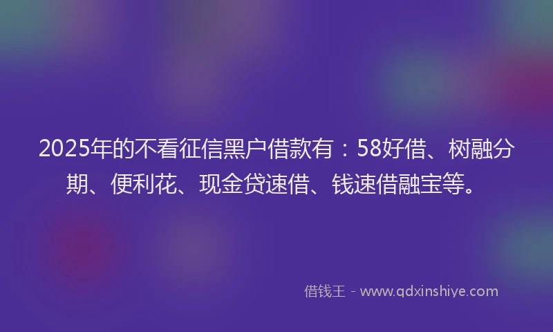 2025年的不看征信黑户借款有：58好借、树融分期、便利花、现金贷速借、钱速借融宝等。