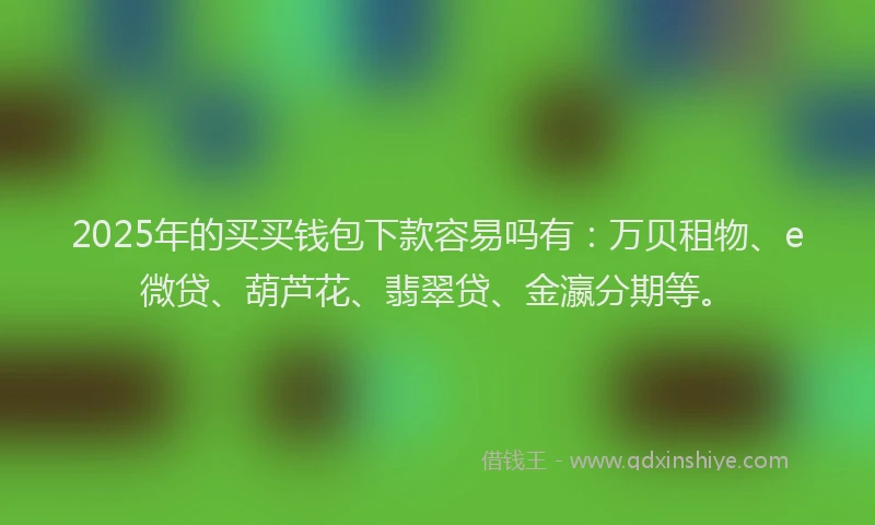 2025年的买买钱包下款容易吗有：万贝租物、e微贷、葫芦花、翡翠贷、金瀛分期等。