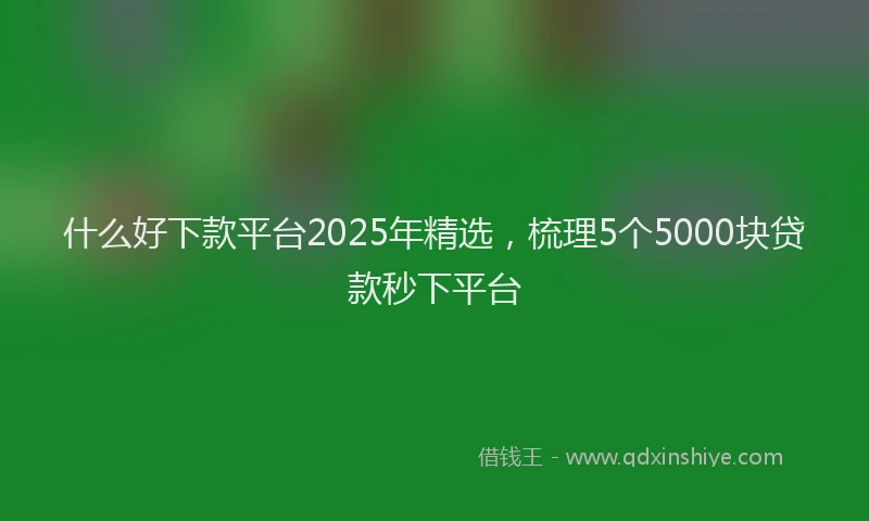 什么好下款平台2025年精选，梳理5个5000块贷款秒下平台