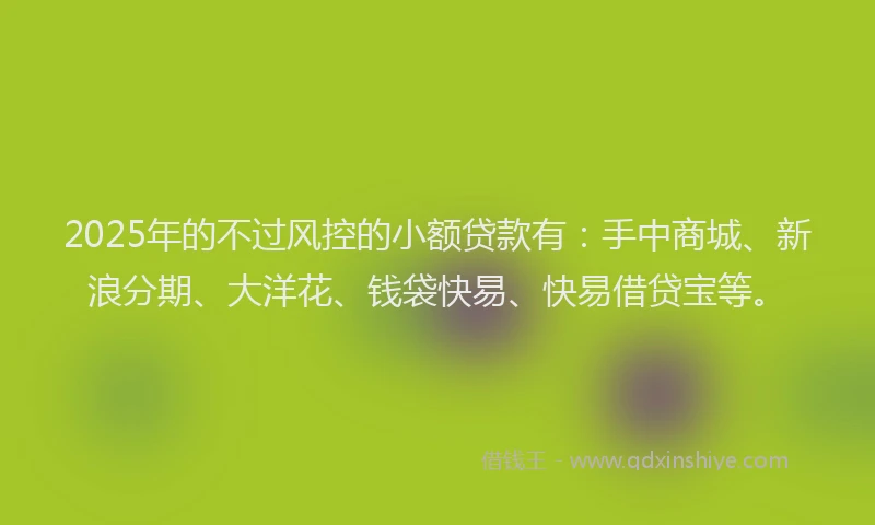 2025年的不过风控的小额贷款有：手中商城、新浪分期、大洋花、钱袋快易、快易借贷宝等。