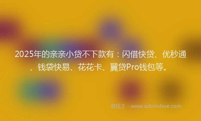 2025年的亲亲小贷不下款有：闪借快贷、优秒通、钱袋快易、花花卡、翼贷Pro钱包等。