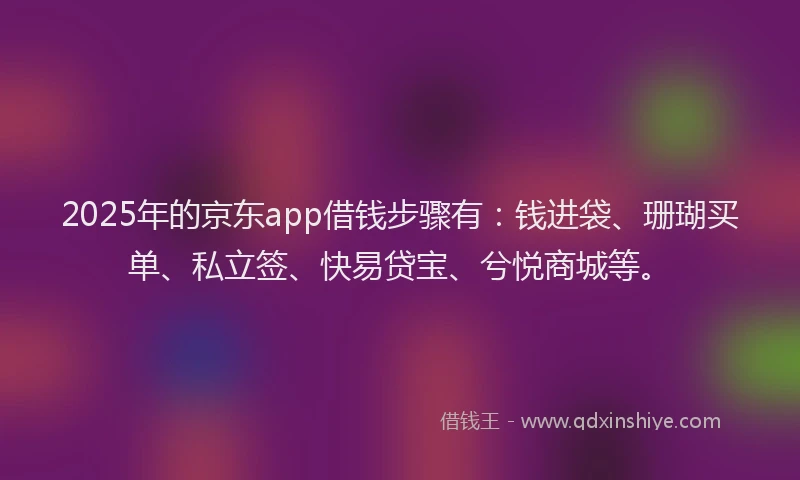2025年的京东app借钱步骤有：钱进袋、珊瑚买单、私立签、快易贷宝、兮悦商城等。