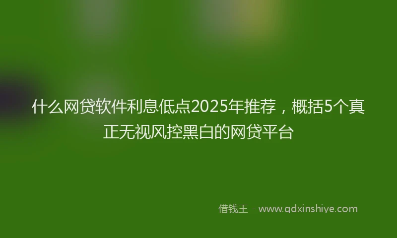 什么网贷软件利息低点2025年推荐，概括5个真正无视风控黑白的网贷平台