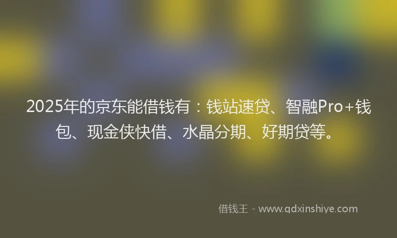 2025年的京东能借钱有：钱站速贷、智融Pro+钱包、现金侠快借、水晶分期、好期贷等。