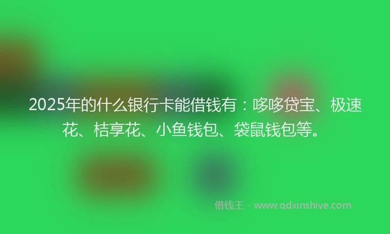 2025年的什么银行卡能借钱有：哆哆贷宝、极速花、桔享花、小鱼钱包、袋鼠钱包等。