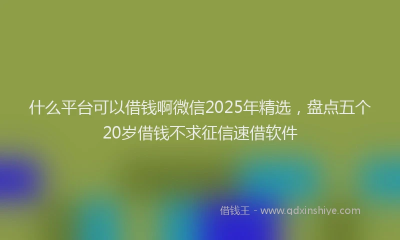什么平台可以借钱啊微信2025年精选，盘点五个20岁借钱不求征信速借软件