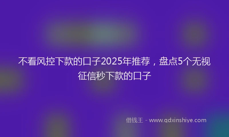 不看风控下款的口子2025年推荐，盘点5个无视征信秒下款的口子