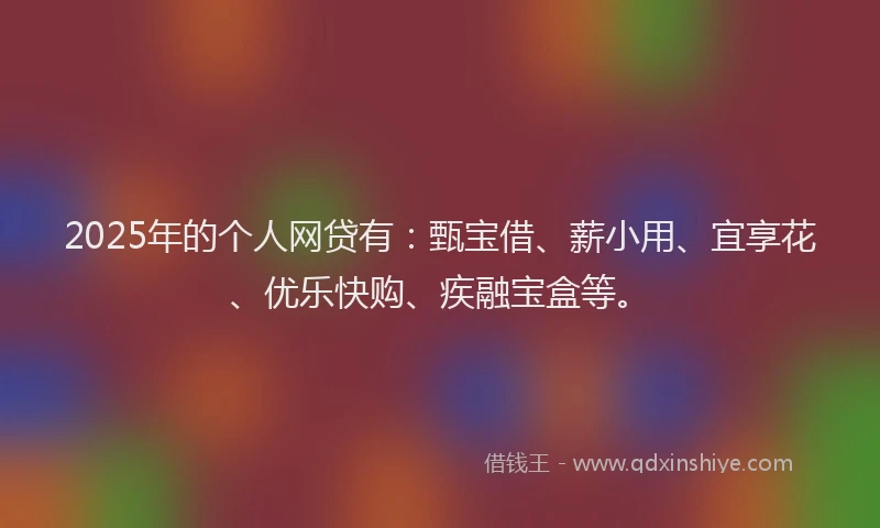 2025年的个人网贷有：甄宝借、薪小用、宜享花、优乐快购、疾融宝盒等。
