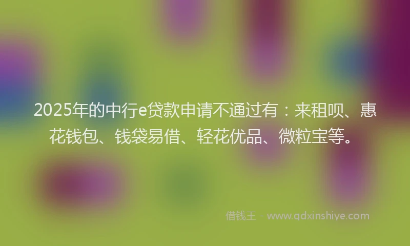 2025年的中行e贷款申请不通过有：来租呗、惠花钱包、钱袋易借、轻花优品、微粒宝等。