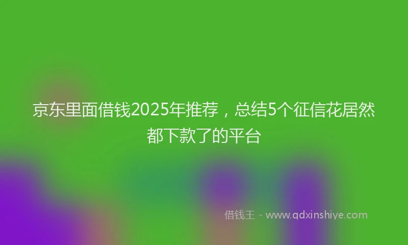 京东里面借钱2025年推荐，总结5个征信花居然都下款了的平台