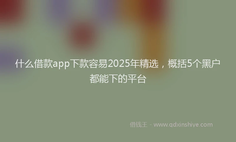 什么借款app下款容易2025年精选，概括5个黑户都能下的平台
