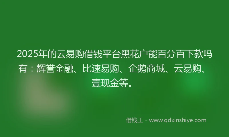 2025年的云易购借钱平台黑花户能百分百下款吗有：辉誉金融、比速易购、企鹅商城、云易购、壹现金等。