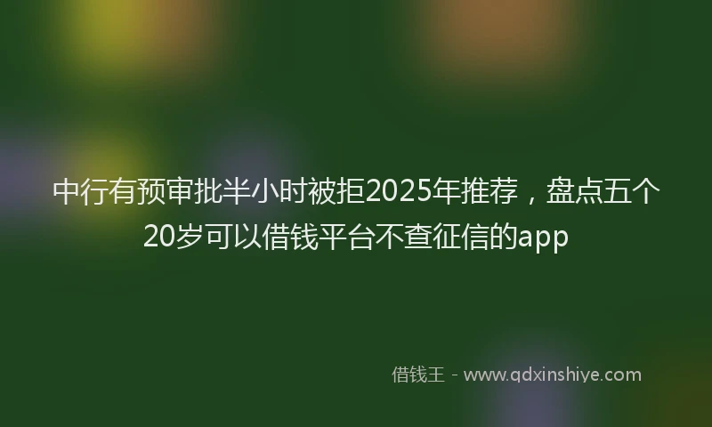 中行有预审批半小时被拒2025年推荐，盘点五个20岁可以借钱平台不查征信的app