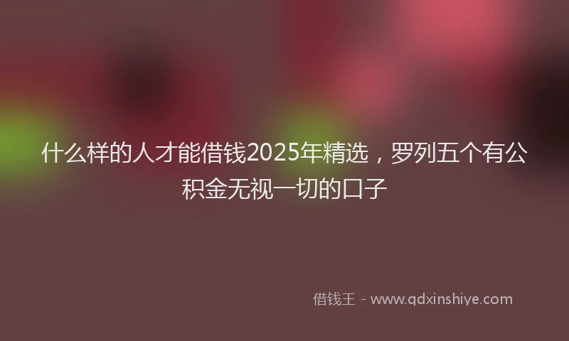 什么样的人才能借钱2025年精选，罗列五个有公积金无视一切的口子