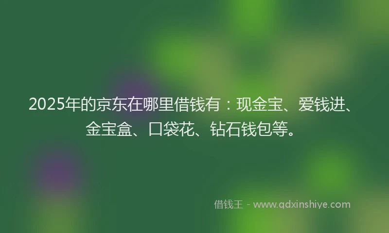 2025年的京东在哪里借钱有：现金宝、爱钱进、金宝盒、口袋花、钻石钱包等。