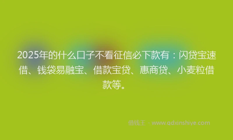 2025年的什么口子不看征信必下款有：闪贷宝速借、钱袋易融宝、借款宝贷、惠商贷、小麦粒借款等。