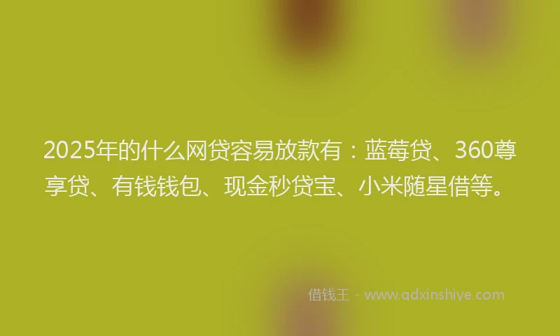 2025年的什么网贷容易放款有：蓝莓贷、360尊享贷、有钱钱包、现金秒贷宝、小米随星借等。