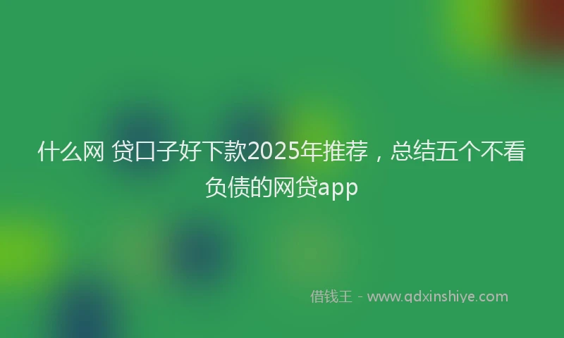 什么网 贷口子好下款2025年推荐，总结五个不看负债的网贷app