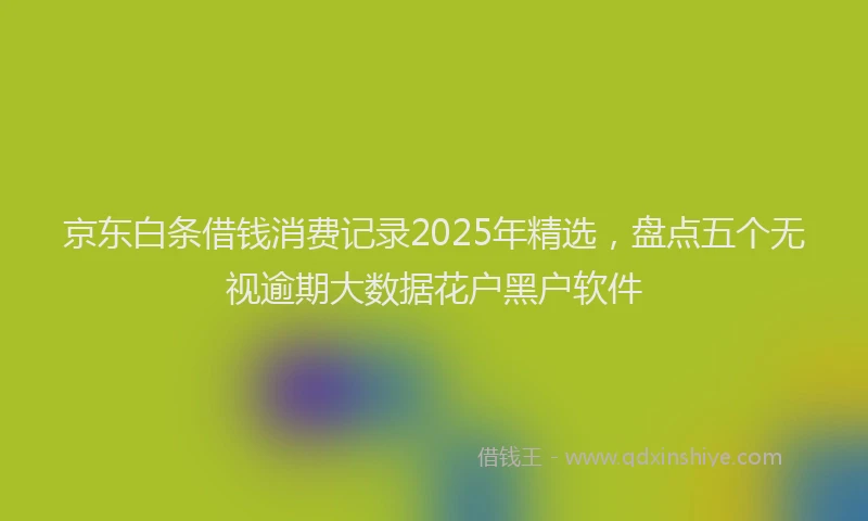京东白条借钱消费记录2025年精选，盘点五个无视逾期大数据花户黑户软件