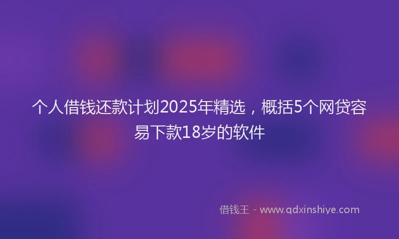 个人借钱还款计划2025年精选，概括5个网贷容易下款18岁的软件