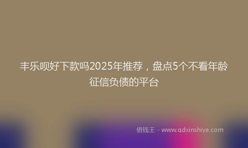 丰乐呗好下款吗2025年推荐，盘点5个不看年龄征信负债的平台