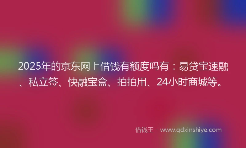 2025年的京东网上借钱有额度吗有：易贷宝速融、私立签、快融宝盒、拍拍用、24小时商城等。