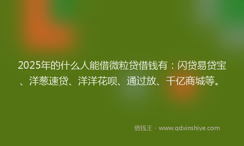 2025年的什么人能借微粒贷借钱有：闪贷易贷宝、洋葱速贷、洋洋花呗、通过放、千亿商城等。