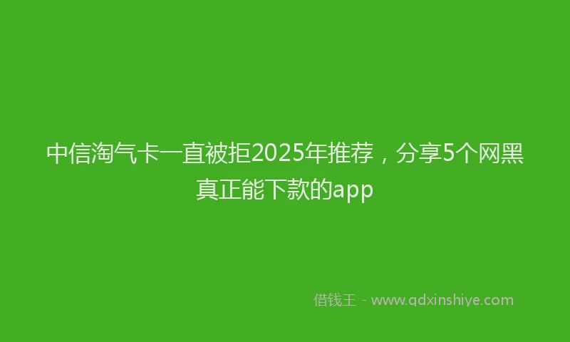 中信淘气卡一直被拒2025年推荐，分享5个网黑真正能下款的app