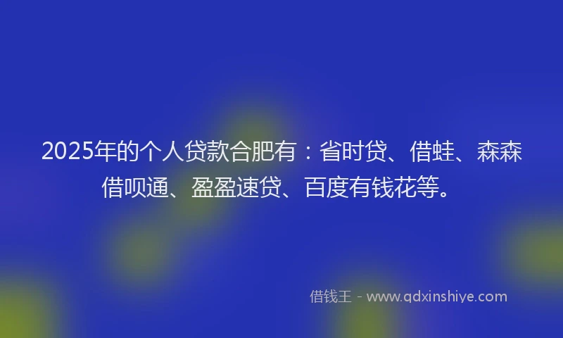2025年的个人贷款合肥有：省时贷、借蛙、森森借呗通、盈盈速贷、百度有钱花等。