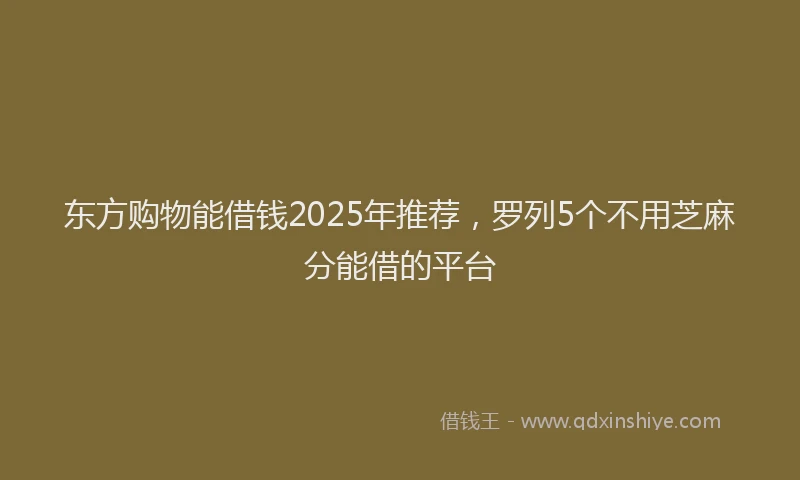 东方购物能借钱2025年推荐，罗列5个不用芝麻分能借的平台