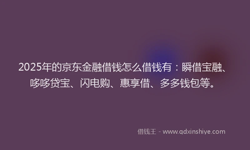 2025年的京东金融借钱怎么借钱有：瞬借宝融、哆哆贷宝、闪电购、惠享借、多多钱包等。